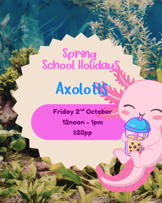 Friday 2nd October| Axolotls| 12noon-1pm(Copy)