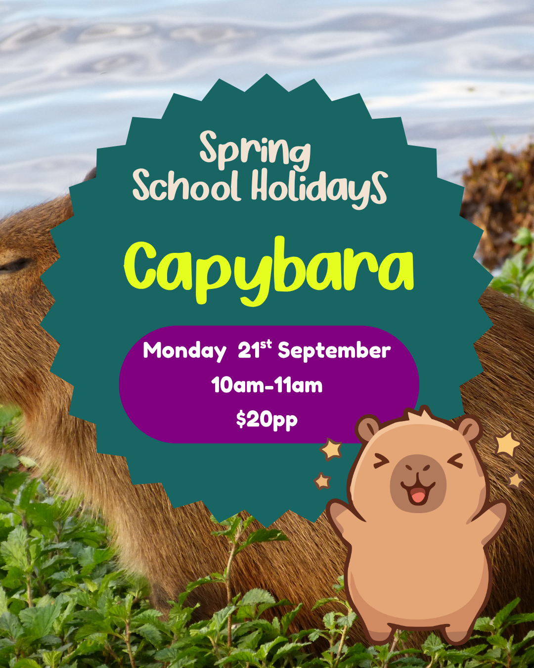 Monday 21st September| Capybaras| 10am-11am